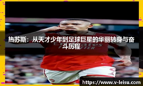 雷速体育官网